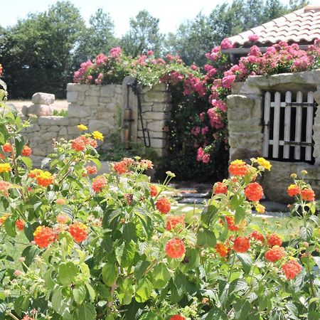 Le Manoir Du Pas Jahan Couëron Exteriér fotografie